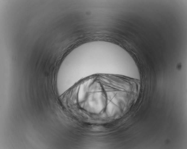 X0000115770605200911131023