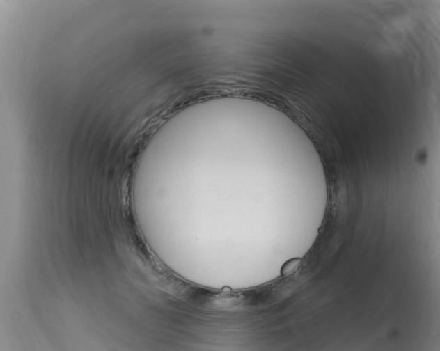 X0000115770606200911131023
