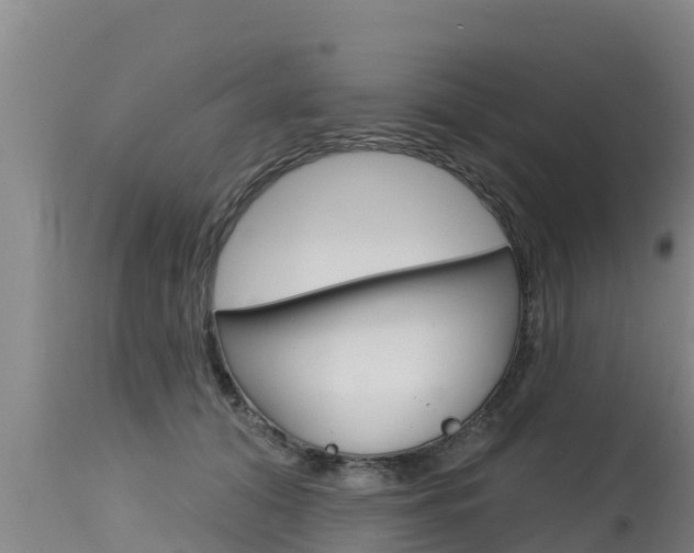 X0000115770608200911131023
