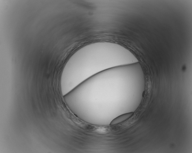X0000115770611200911131023