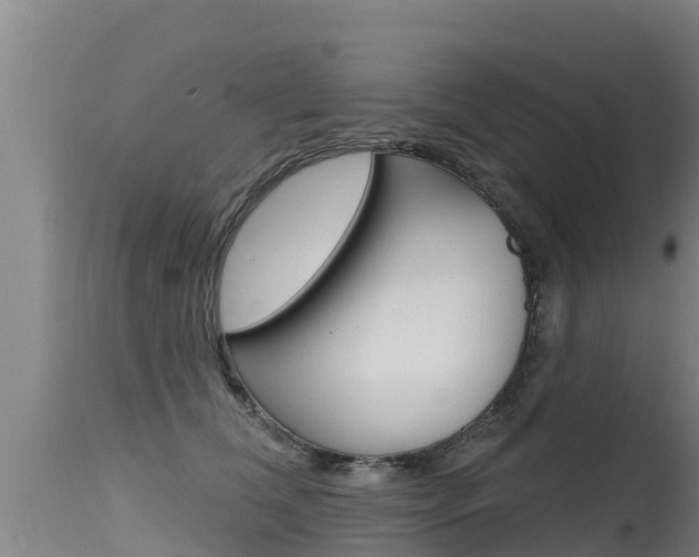 X0000115770612200911131023