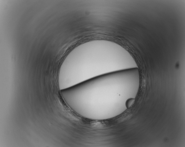 X0000115770616200911131023