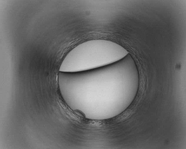 X0000115770624200911131023