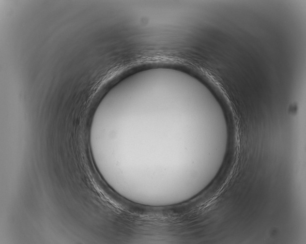 X0000115770625200911131022