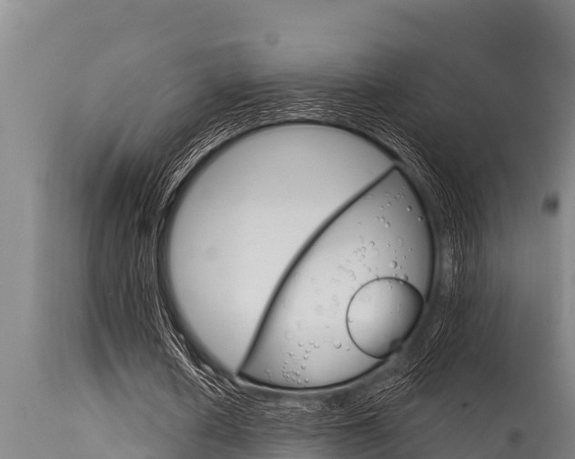 X0000115770626200911131022