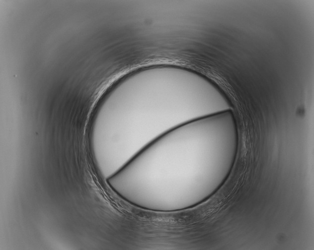 X0000115770628200911131022