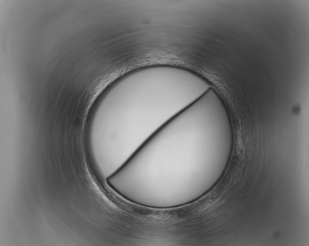 X0000115770630200911131022
