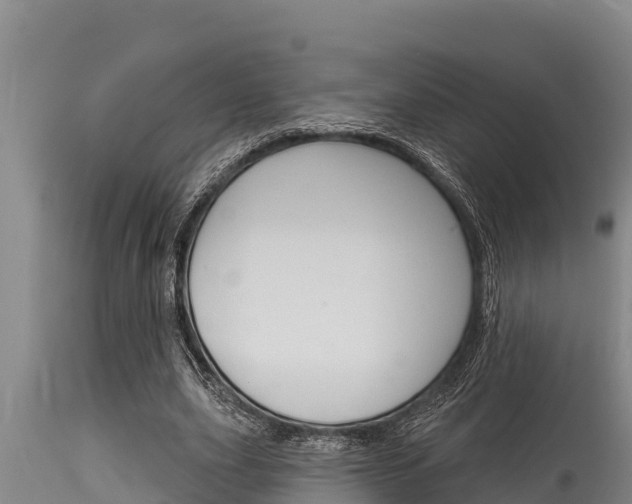 X0000115770631200911131022