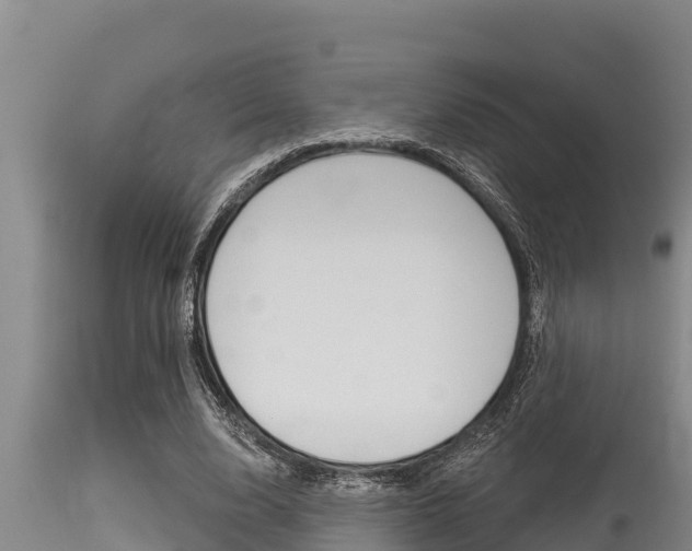 X0000115770632200911131022