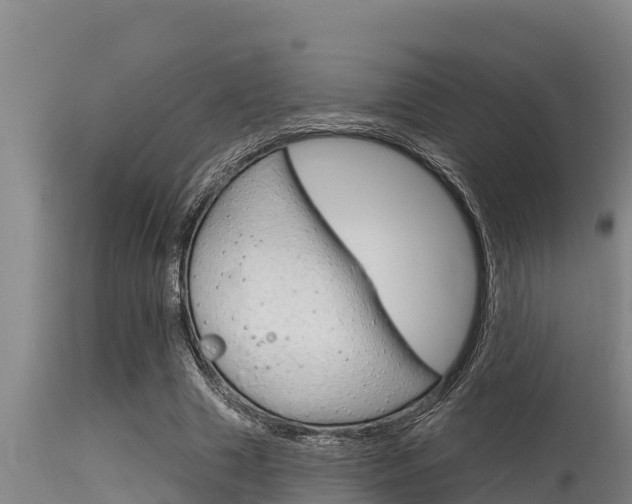 X0000115770633200911131022