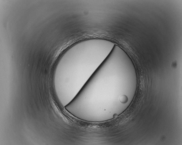 X0000115770634200911131022