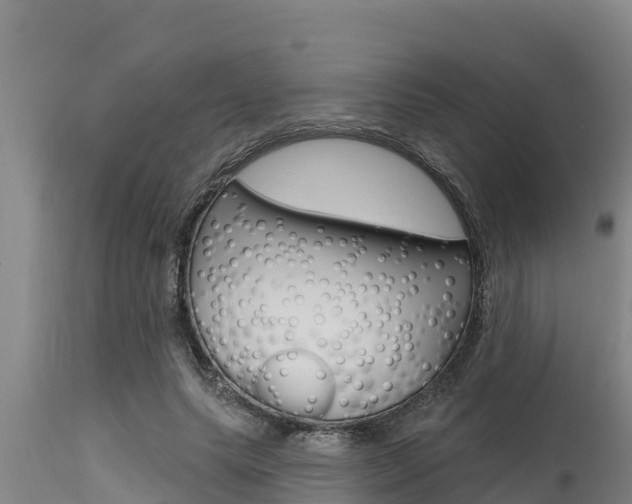 X0000115770639200911131022