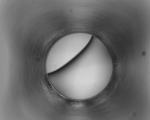X0000115770643200911131022