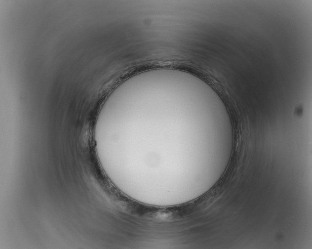 X0000115770647200911131022