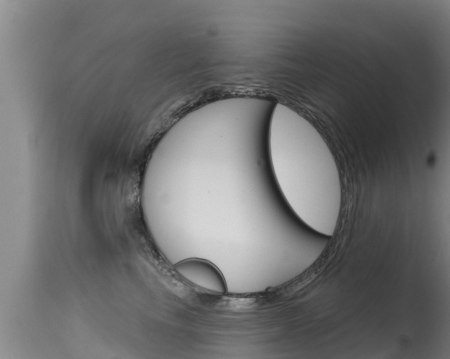X0000115770665200911131022
