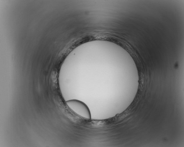 X0000115770667200911131022
