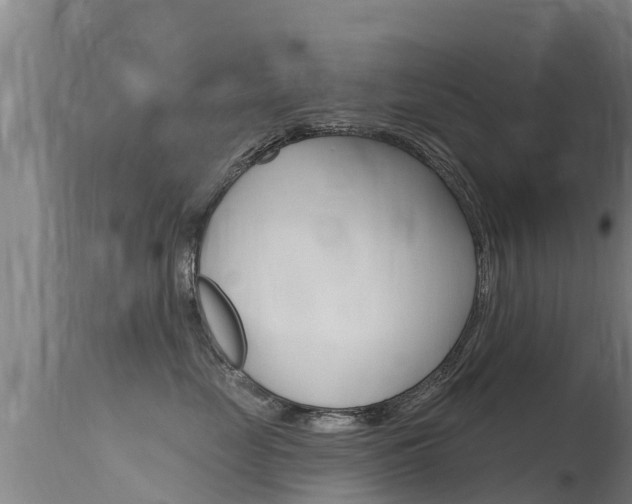 X0000115770669200911131022