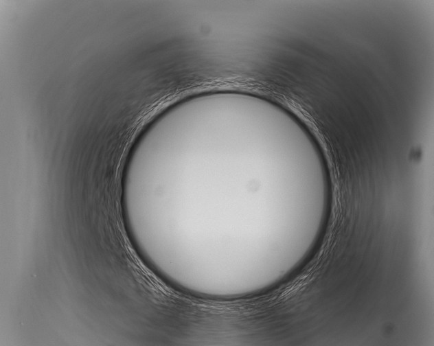 X0000115770673200911131022