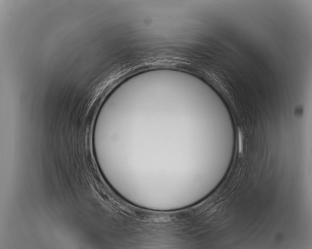 X0000115770675200911131022