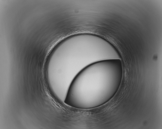 X0000115770676200911131022