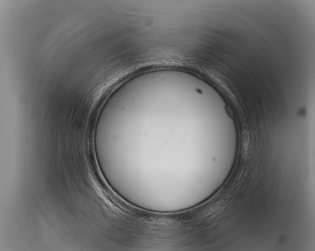 X0000115770677200911131022