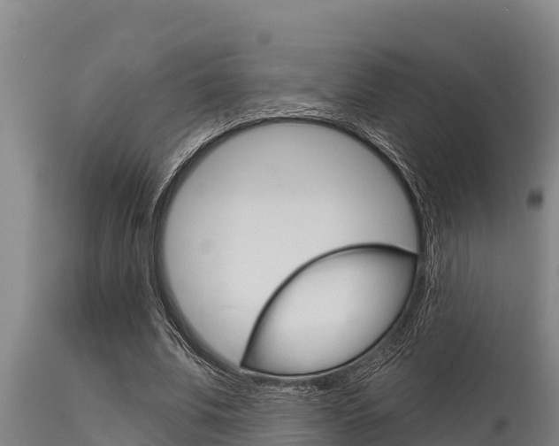 X0000115770679200911131022