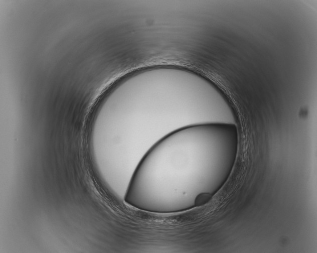 X0000115770680200911131022