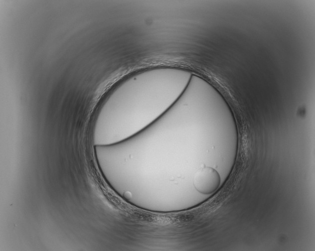 X0000115770682200911131022