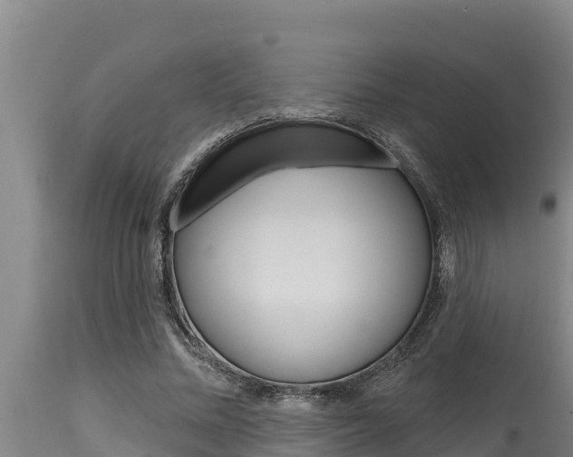 X0000115770684200911131022