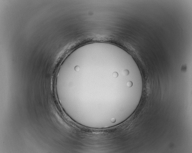 X0000115770686200911131022