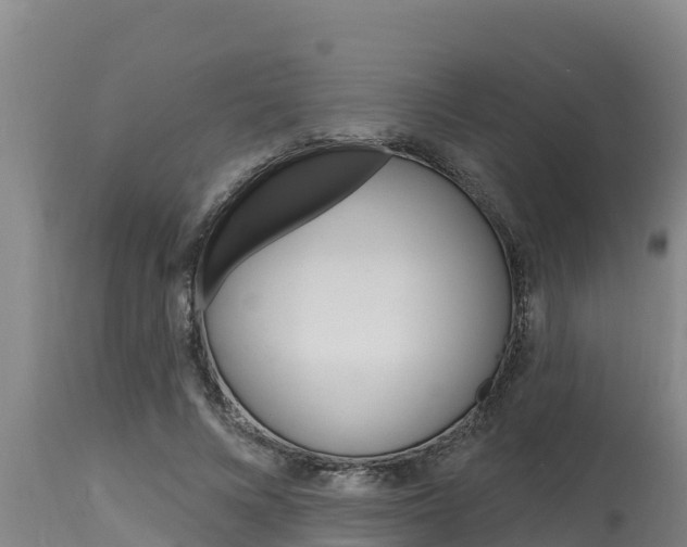X0000115770688200911131022