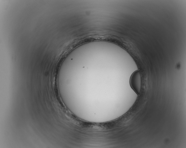 X0000115770697200911131022