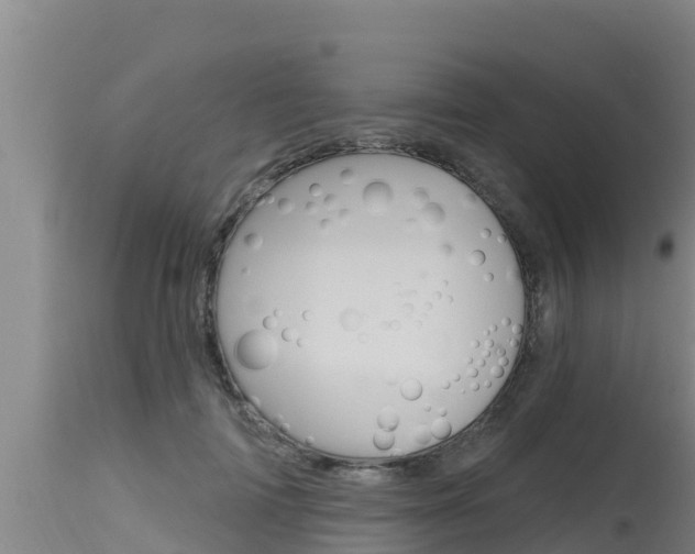 X0000115770698200911131022