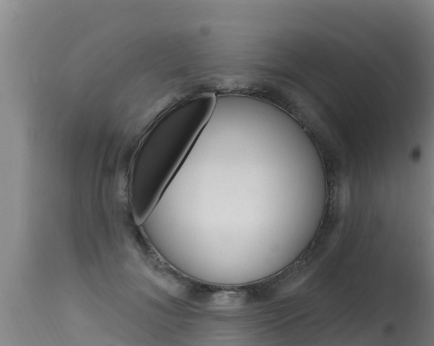 X0000115770700200911131021
