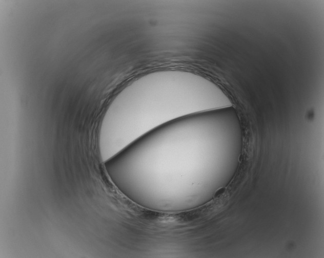 X0000115770704200911131021