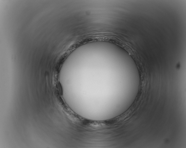 X0000115770712200911131021