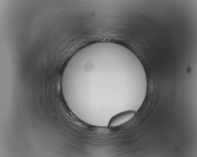 X0000115770719200911131021