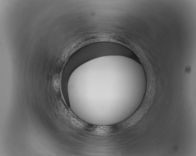 X0000115770720200911131021
