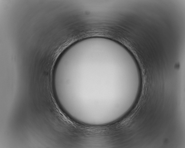 X0000115770721200911131021
