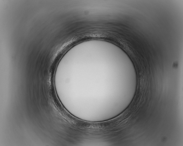 X0000115770727200911131021