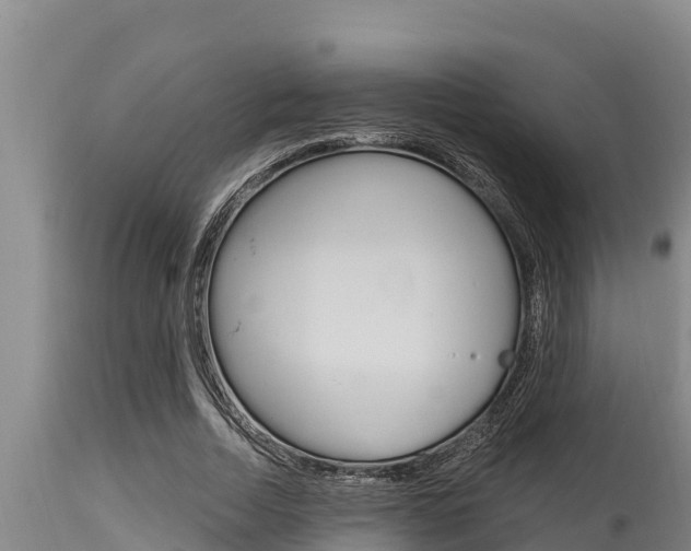 X0000115770730200911131021
