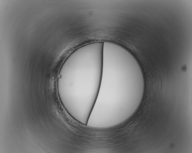 X0000115770735200911131021