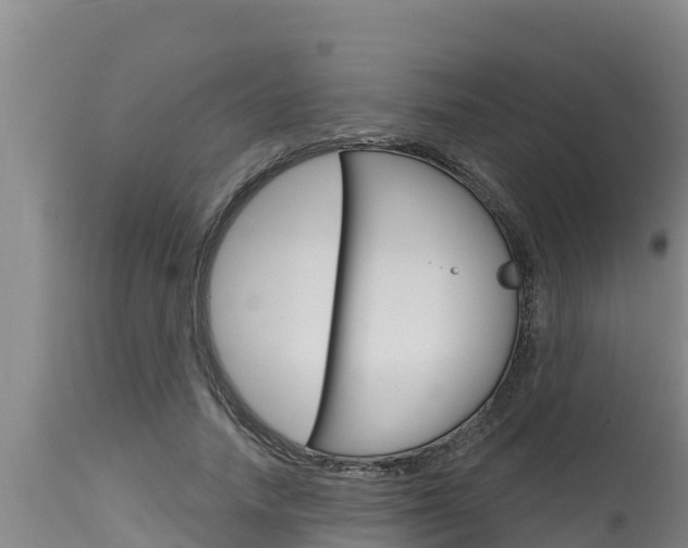 X0000115770738200911131021