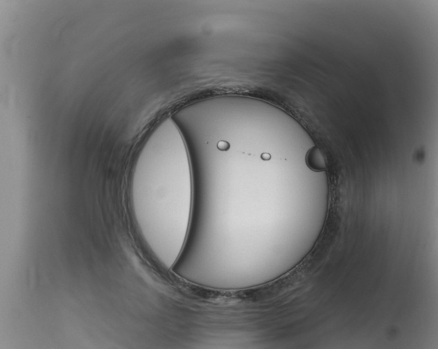 X0000115770742200911131021