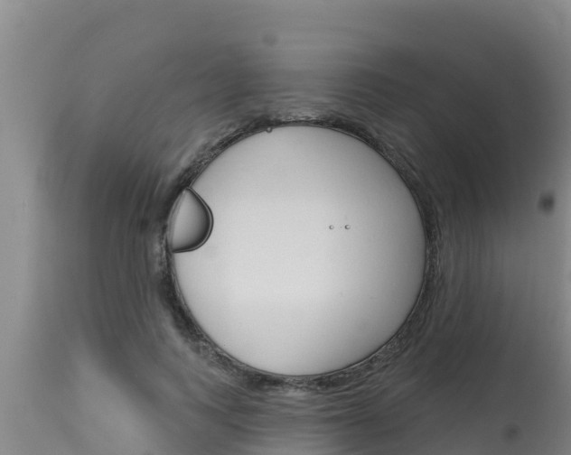 X0000115770743200911131021