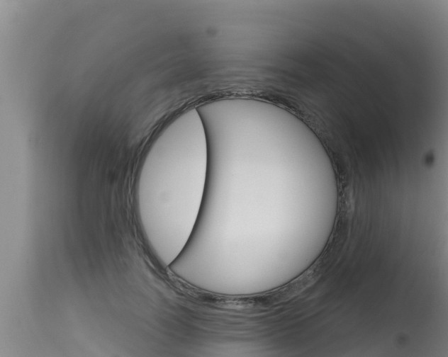 X0000115770746200911131021
