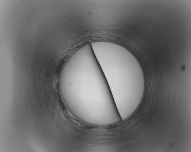 X0000115770747200911131021
