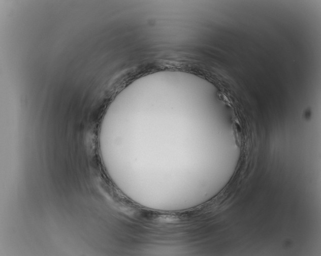 X0000115770749200911131021