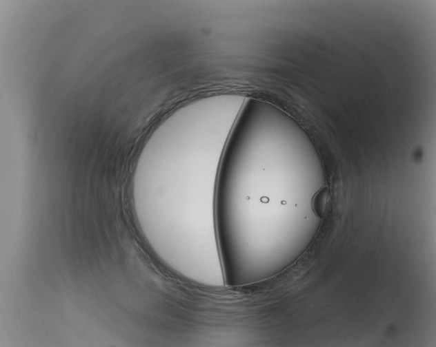 X0000115770750200911131021