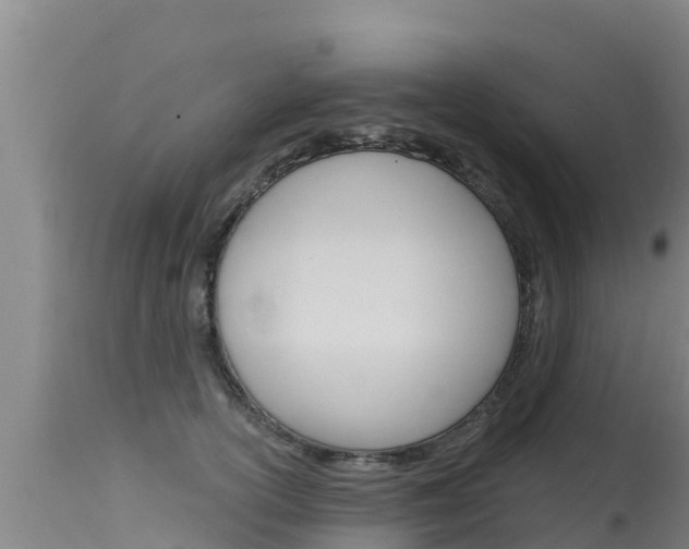 X0000115770754200911131021